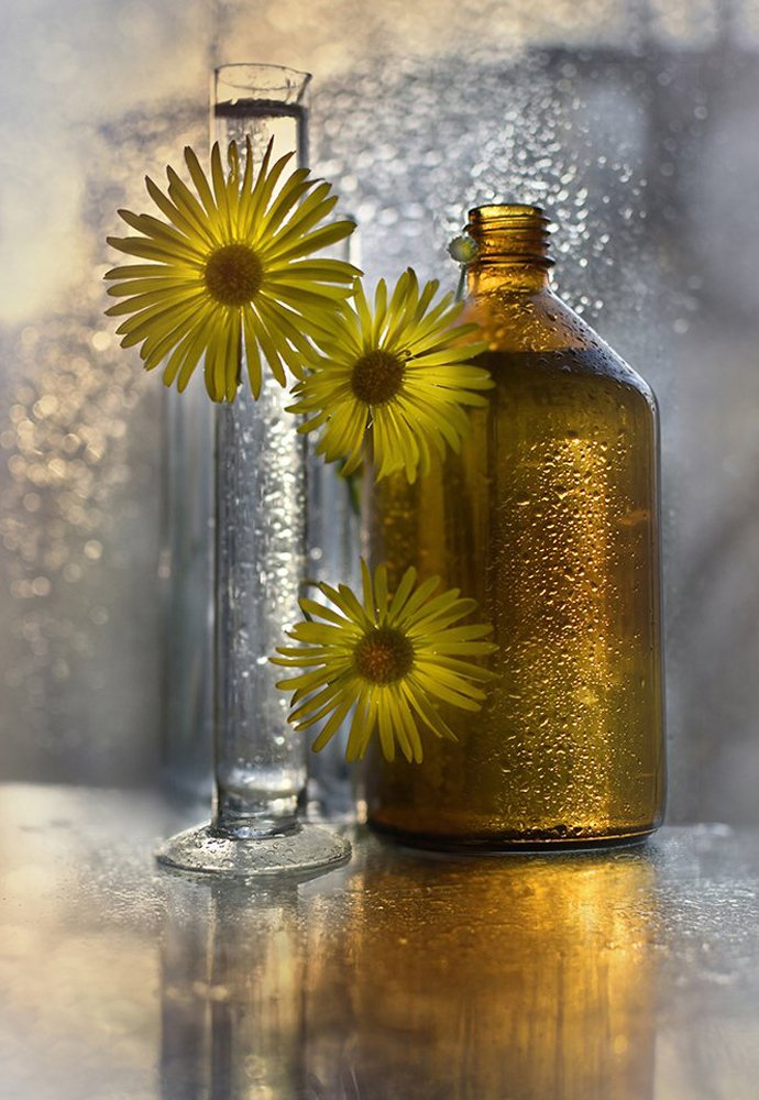 Золото осени