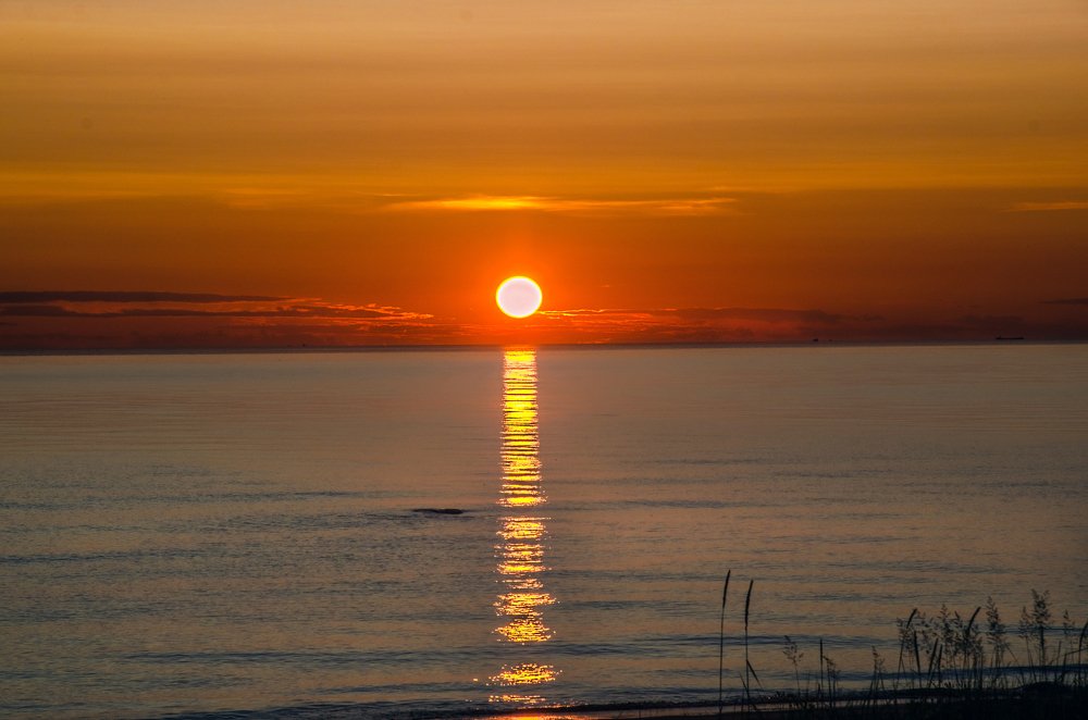 Солнечный луч