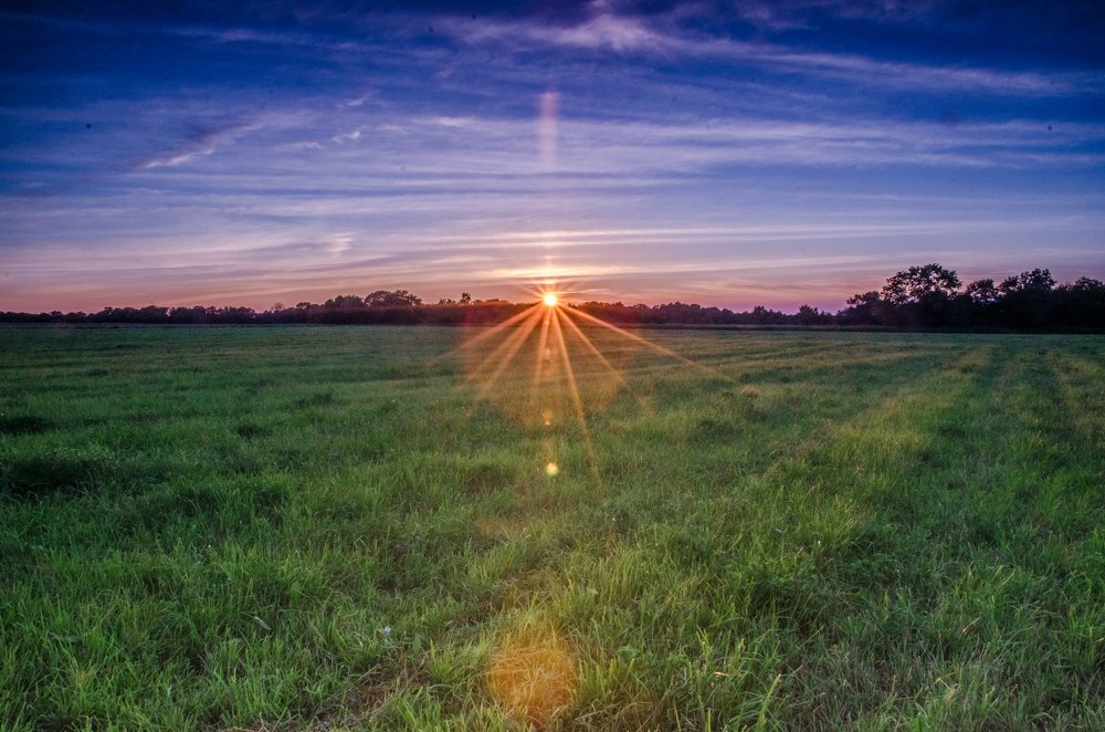 Вечернее поле