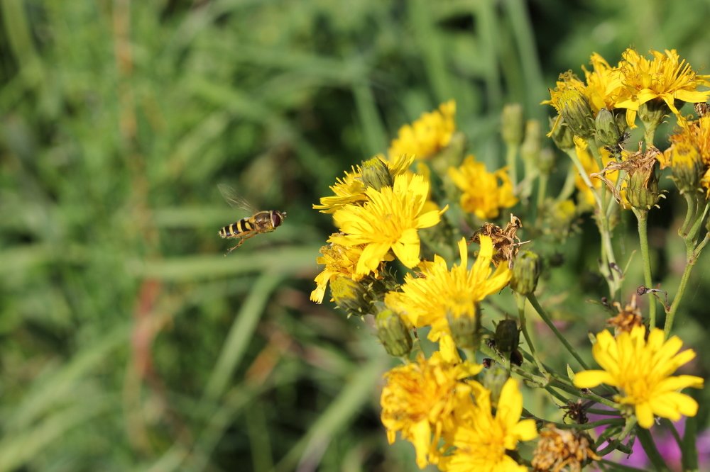 Свободный полет...
