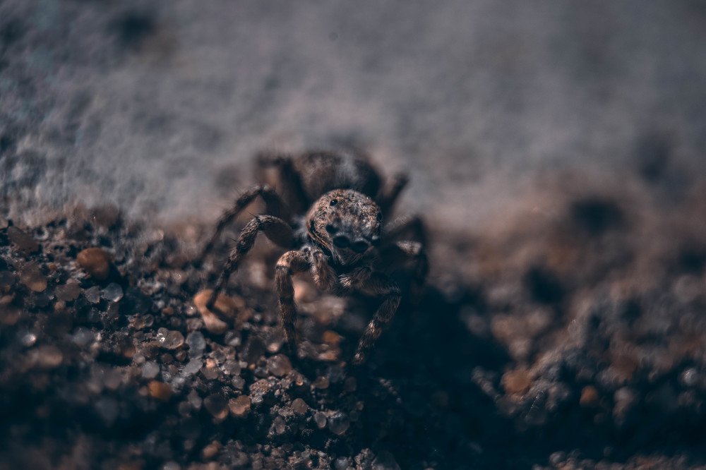 Photograph by Вадим Величко