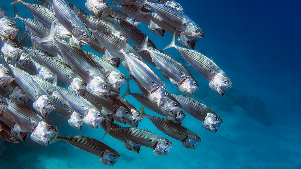 Пролетая над бездной