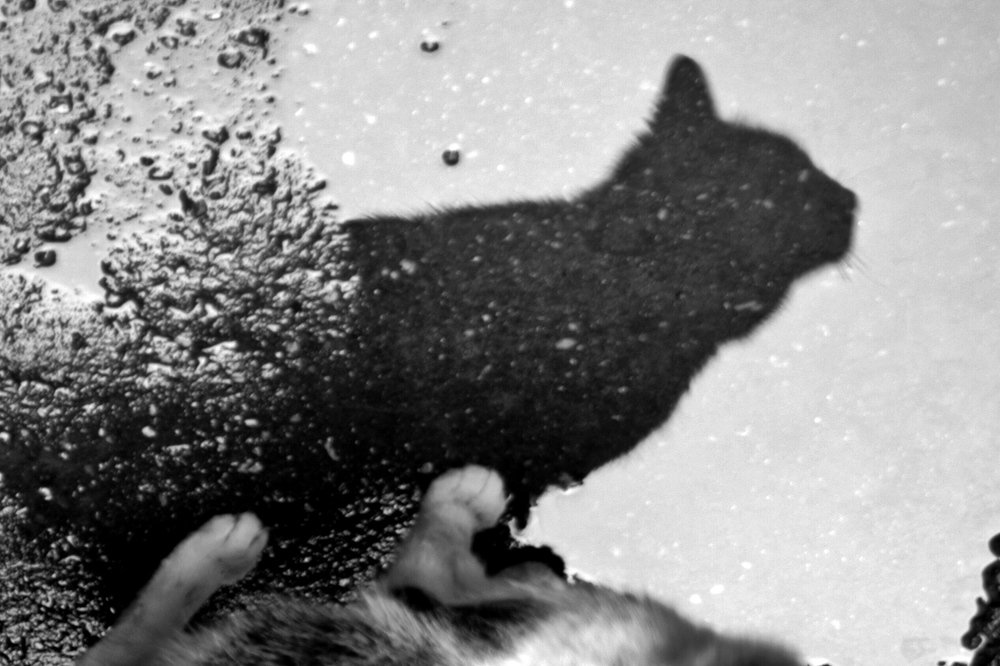 Отражение...