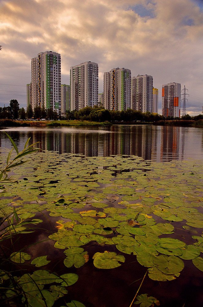 И рядом пруд