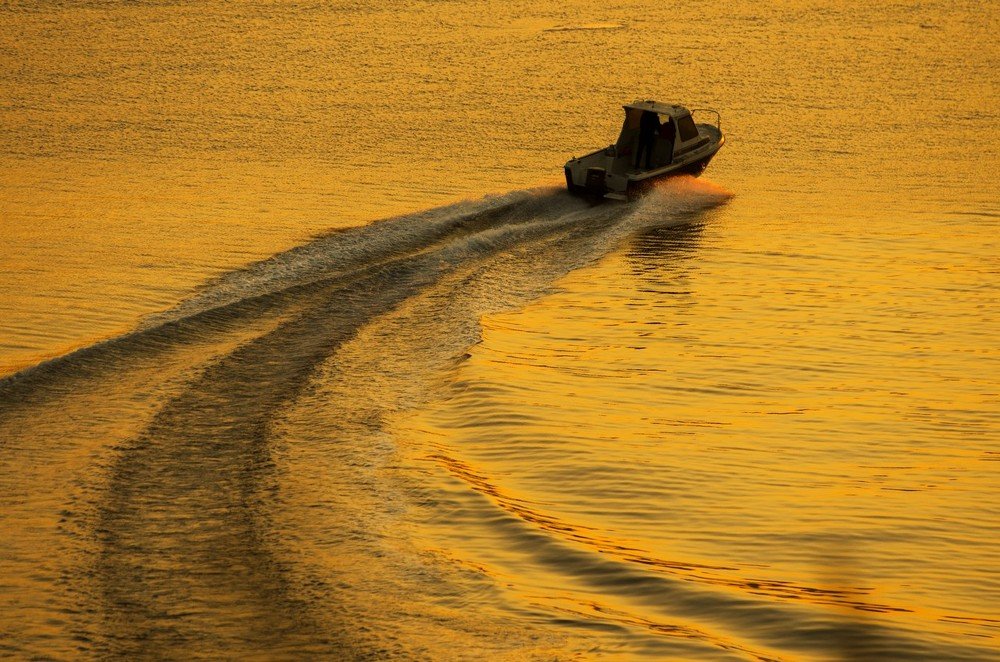 На циркуляции