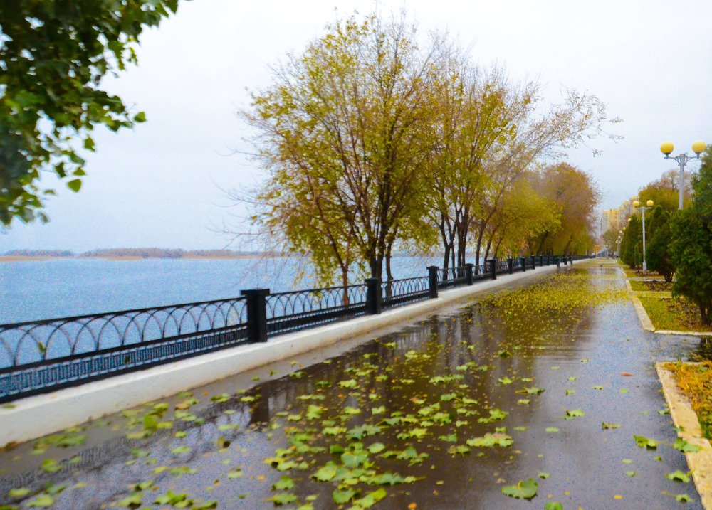 Пасмурное утро осень