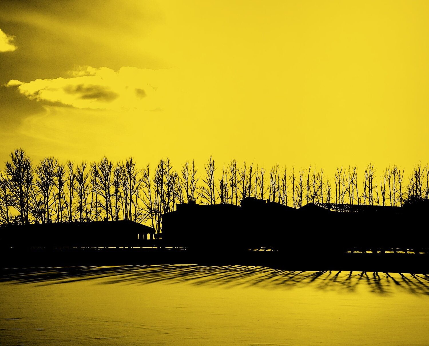 yellow