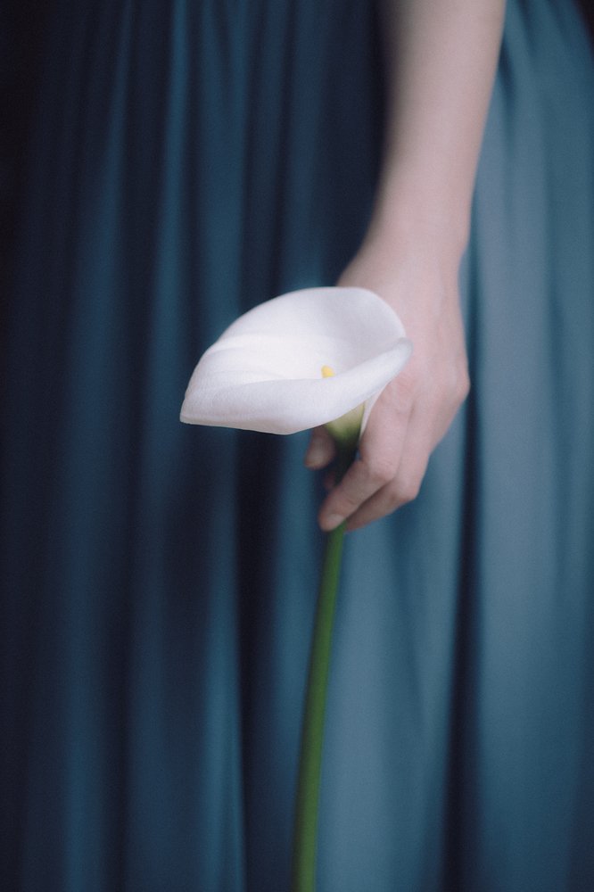 без названия