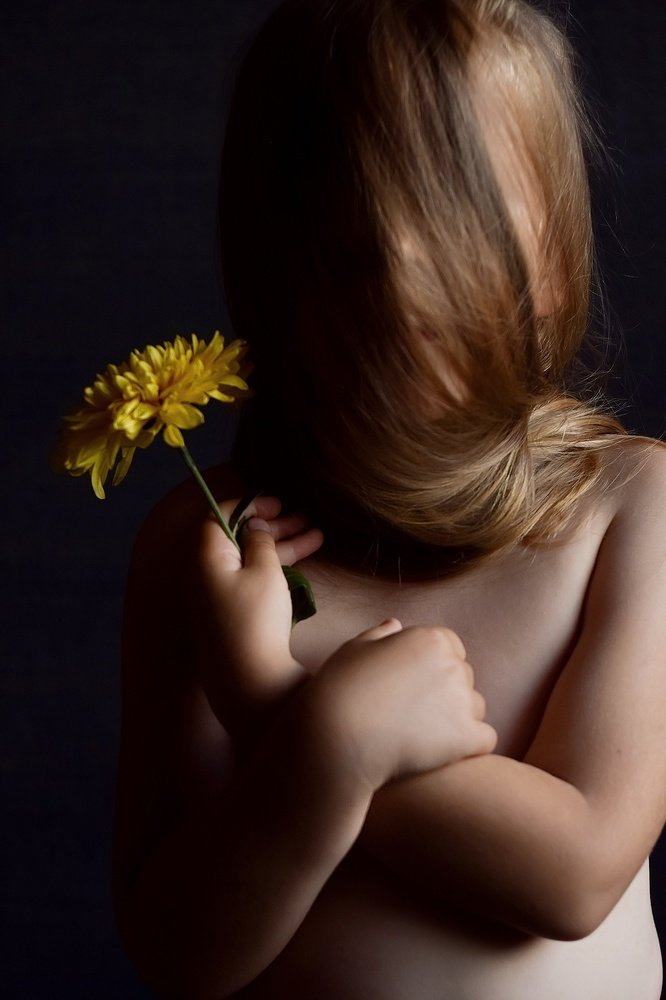 Хризантема