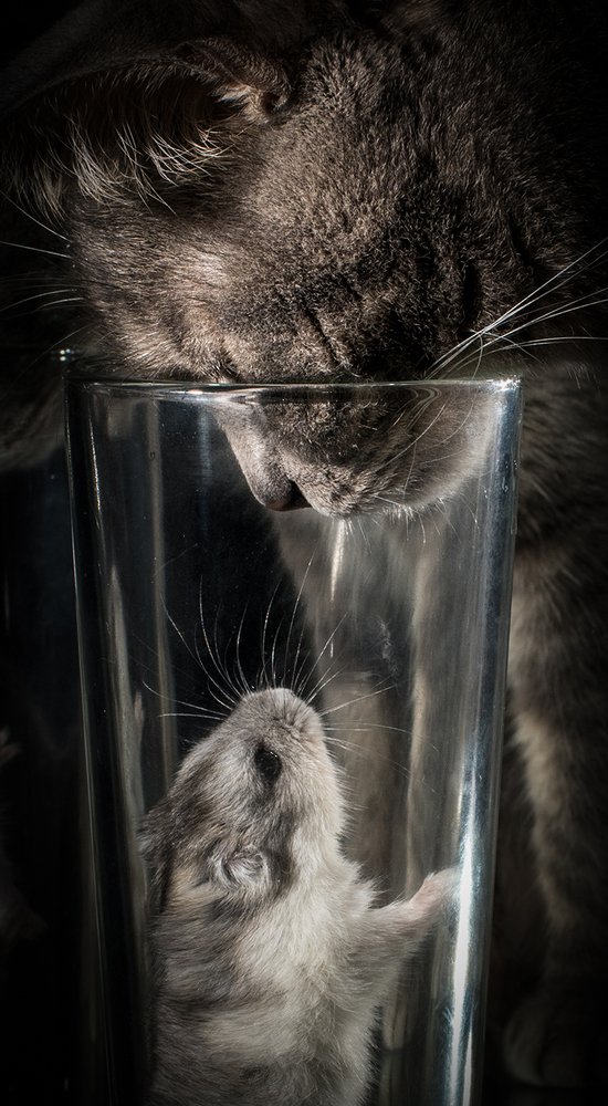 Photograph by MVO (Марк Орлов)