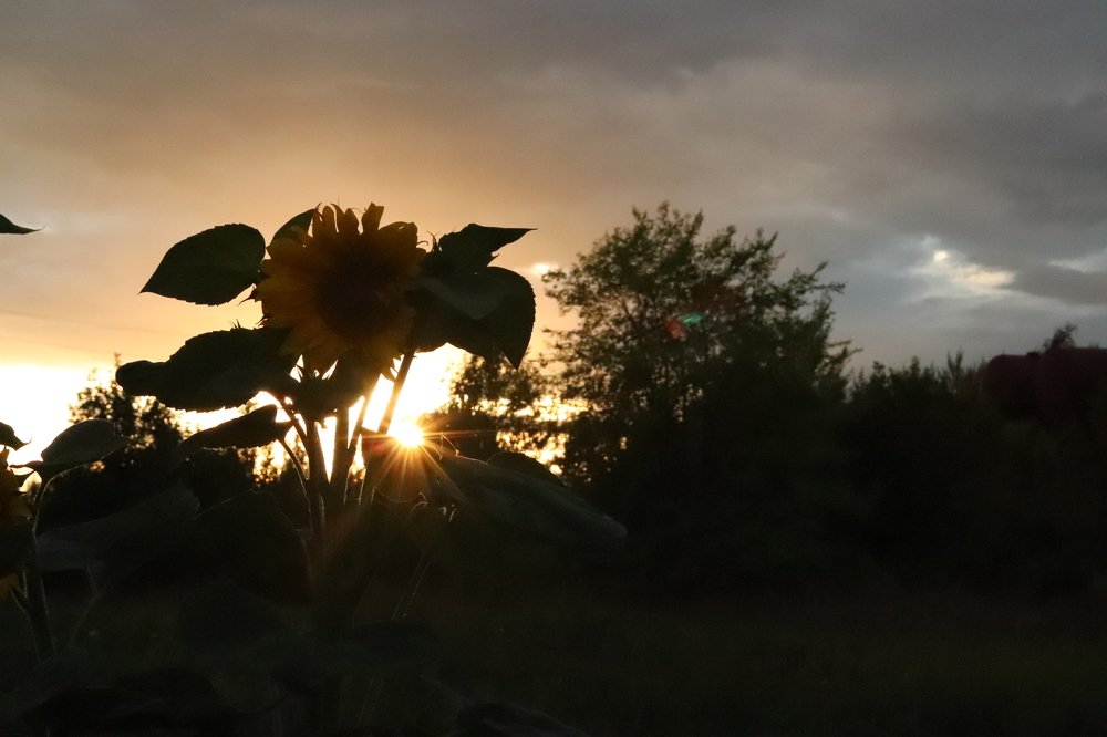 Photograph by Родосская Нонна