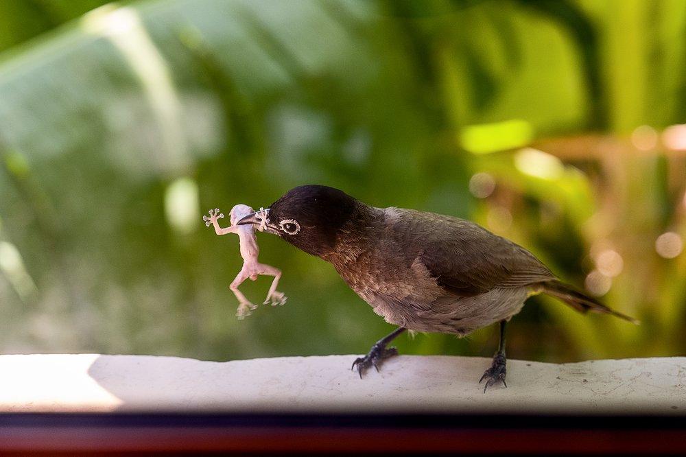 Не равный бой \ Unequal battle