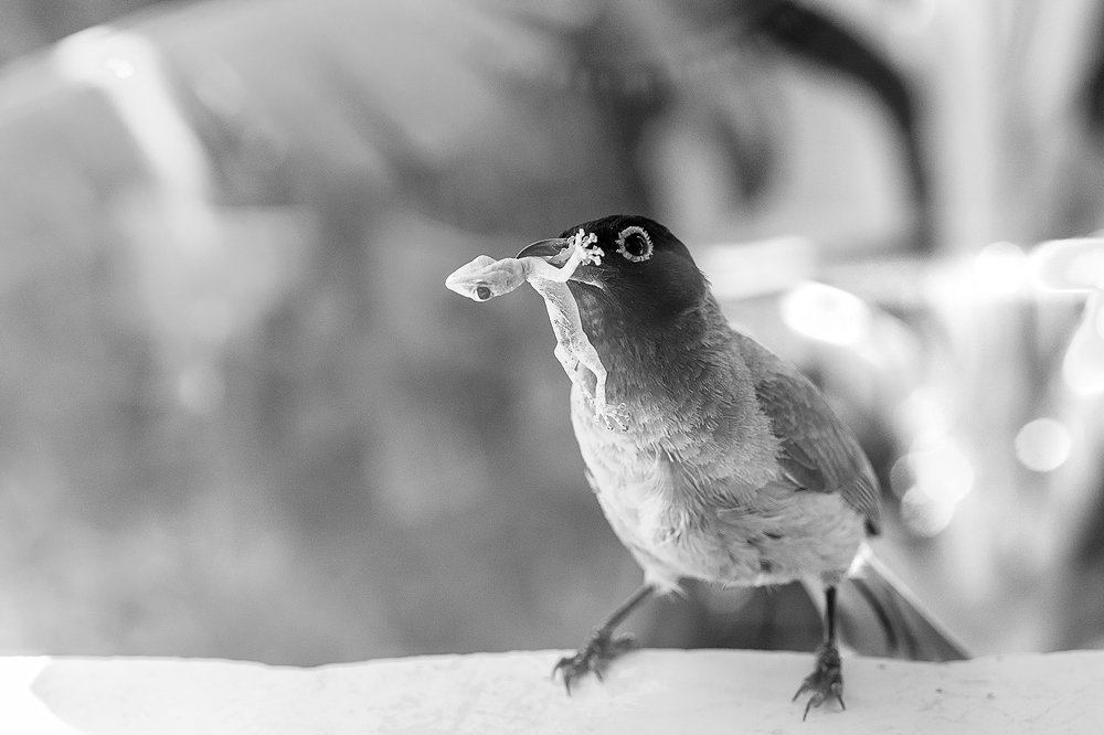 Не равный бой