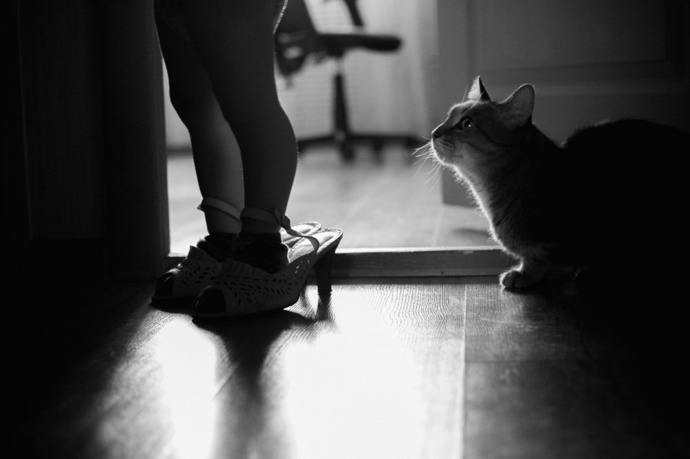 Мамины туфли