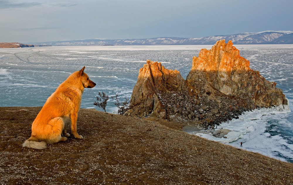 С первыми лучами...