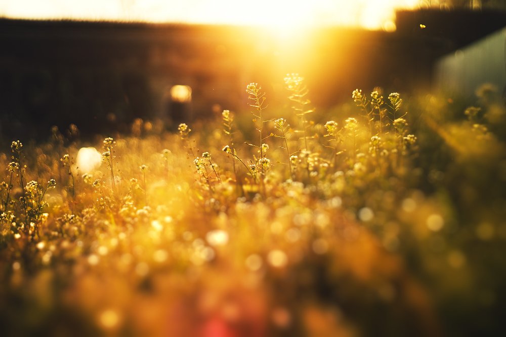 Фотография автора Marina Montale