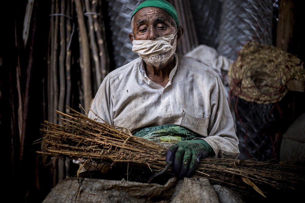 Photograph by mehdi yaghoobi