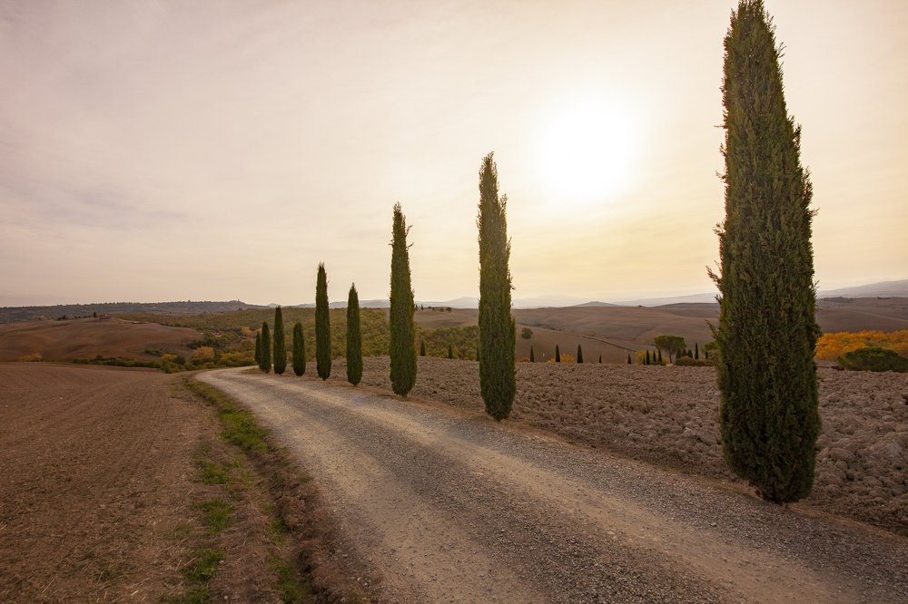 Photograph by Геннадий