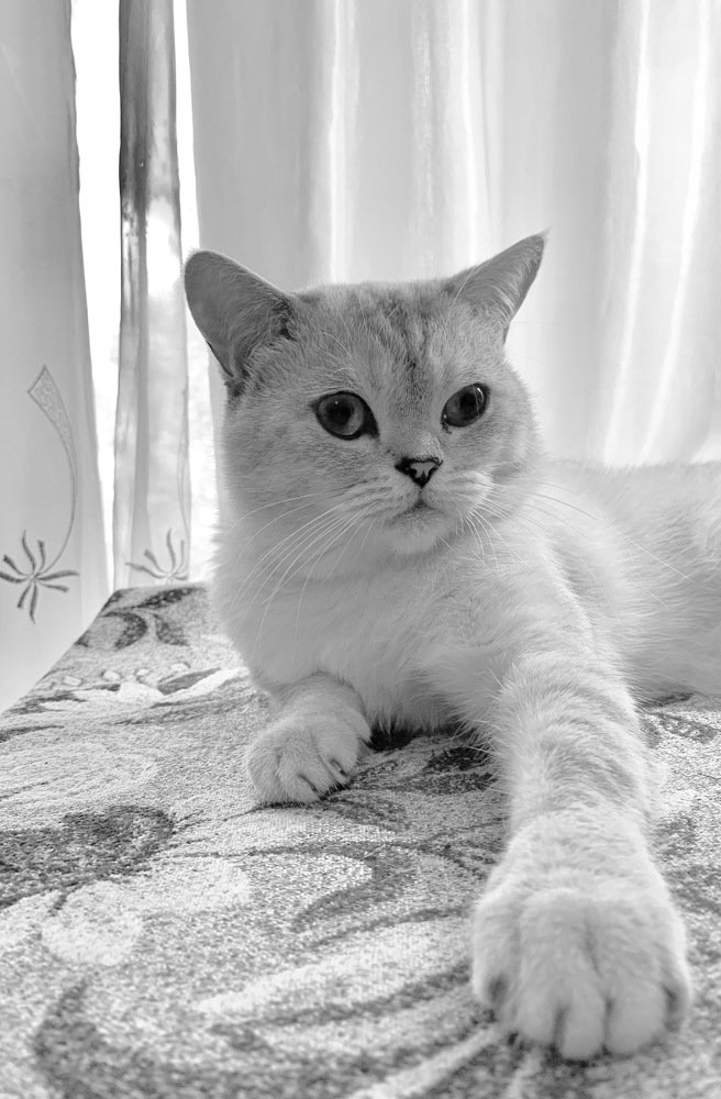 Photograph by Elena