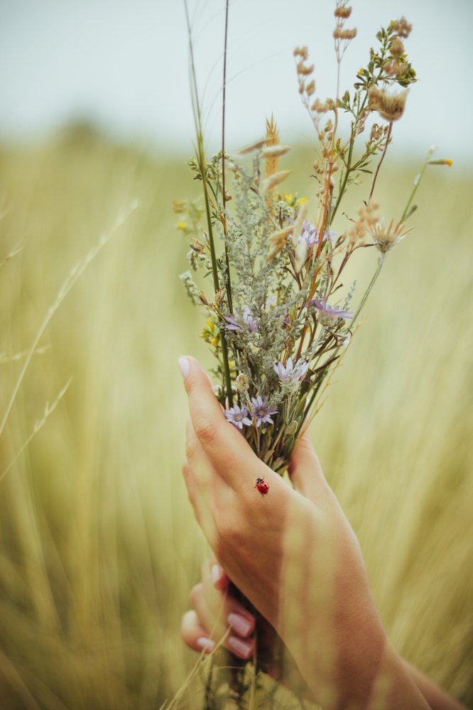 Photograph by Екатерина Михайлова