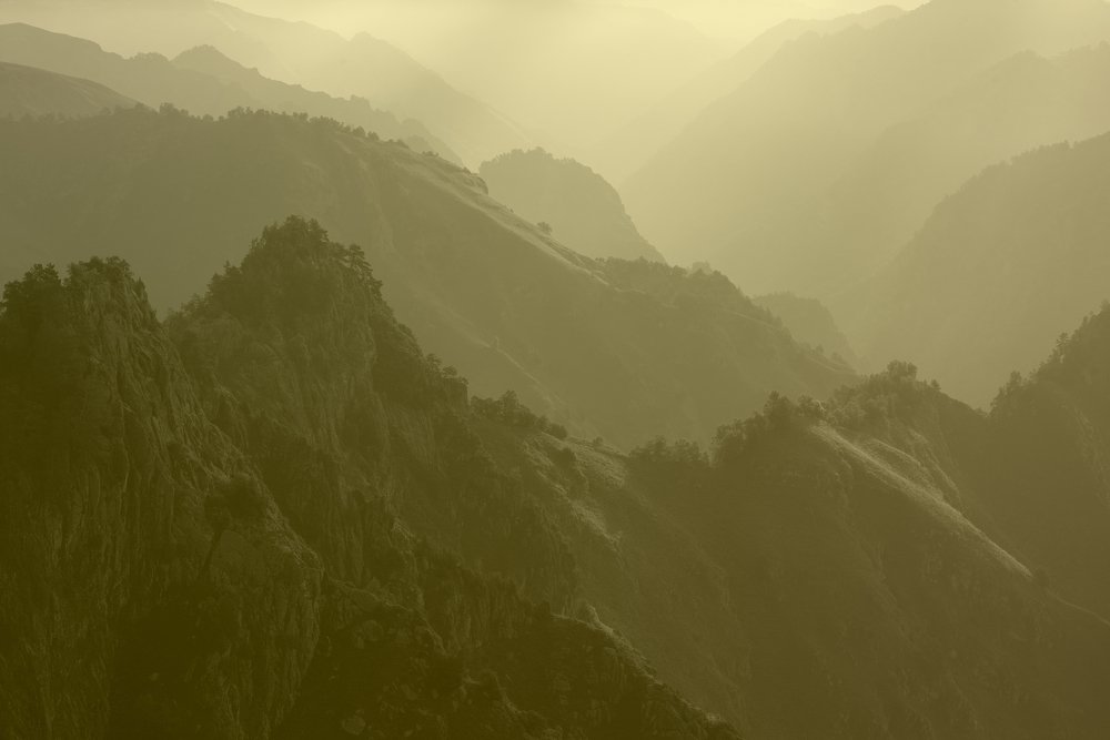 Туманный рассвет