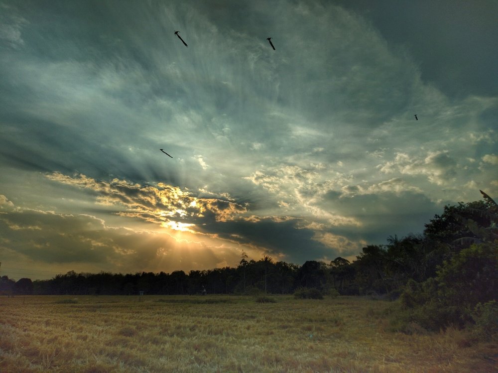 Sunsets