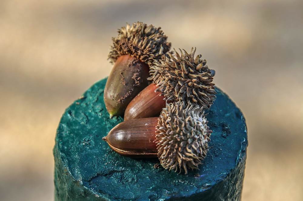 Photograph by Galina Rashap