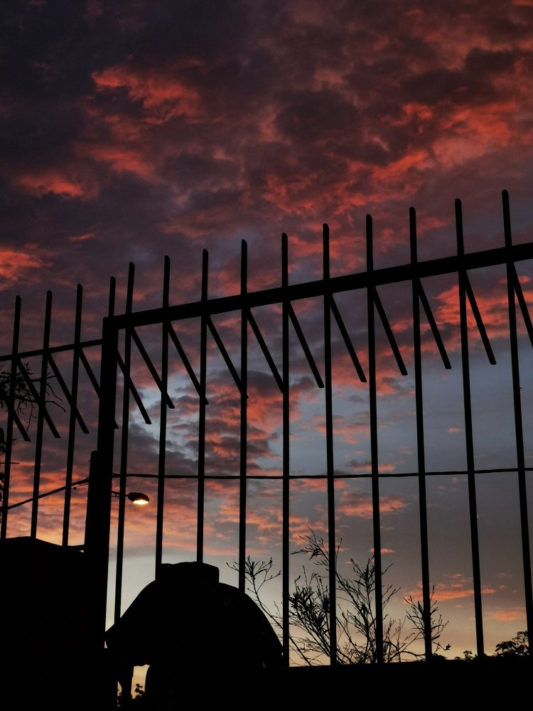 籬笆外的日落