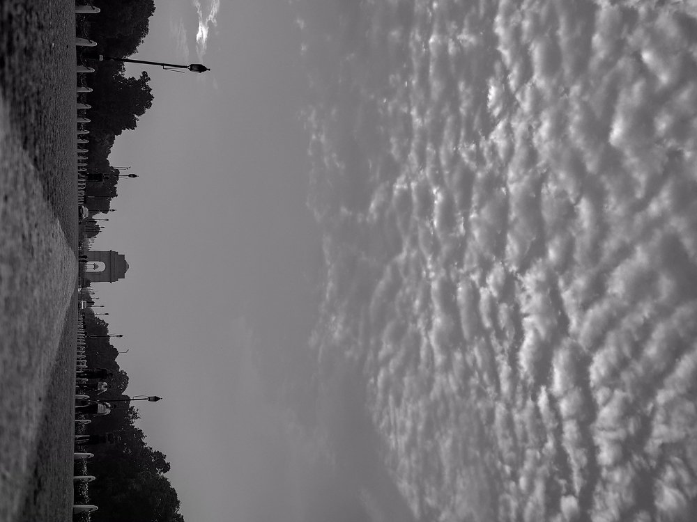 Black & White Art at india gate