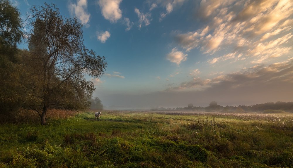 Серебристое утро
