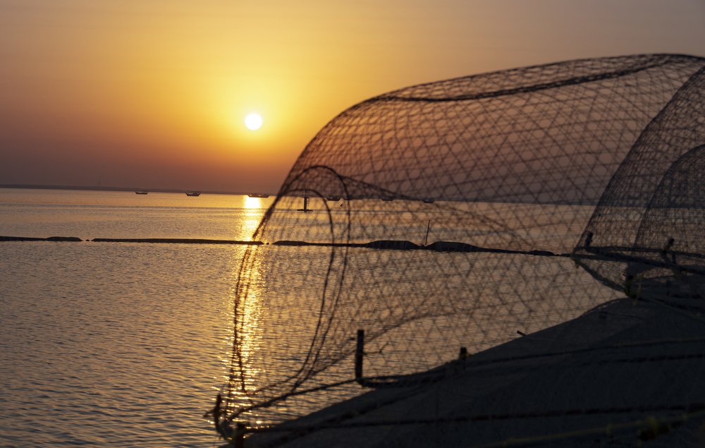 Golden sea ready for Fishing