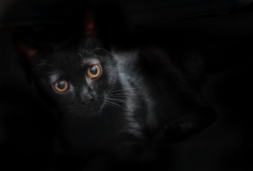 Не ищите черного кота в темной комнате