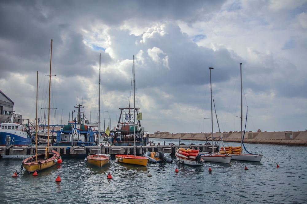 Photograph by Galina Rashap