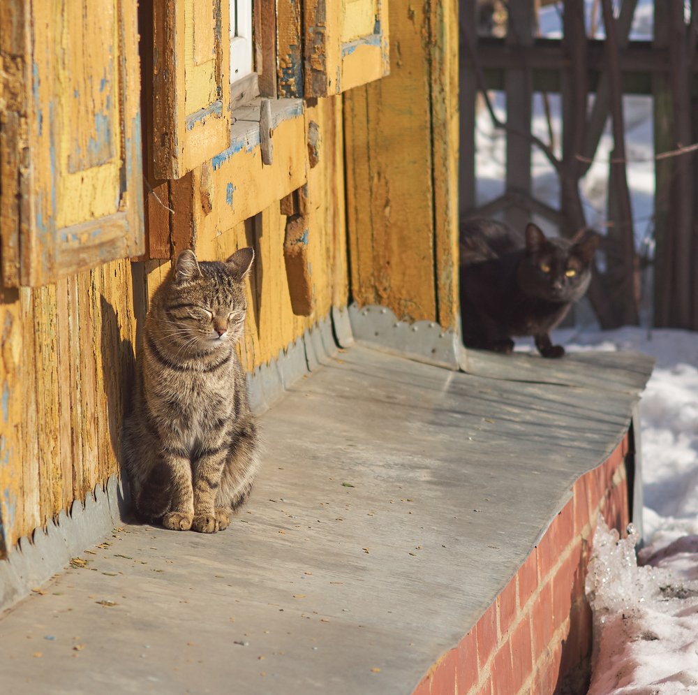 Photograph by Станислав Березкин