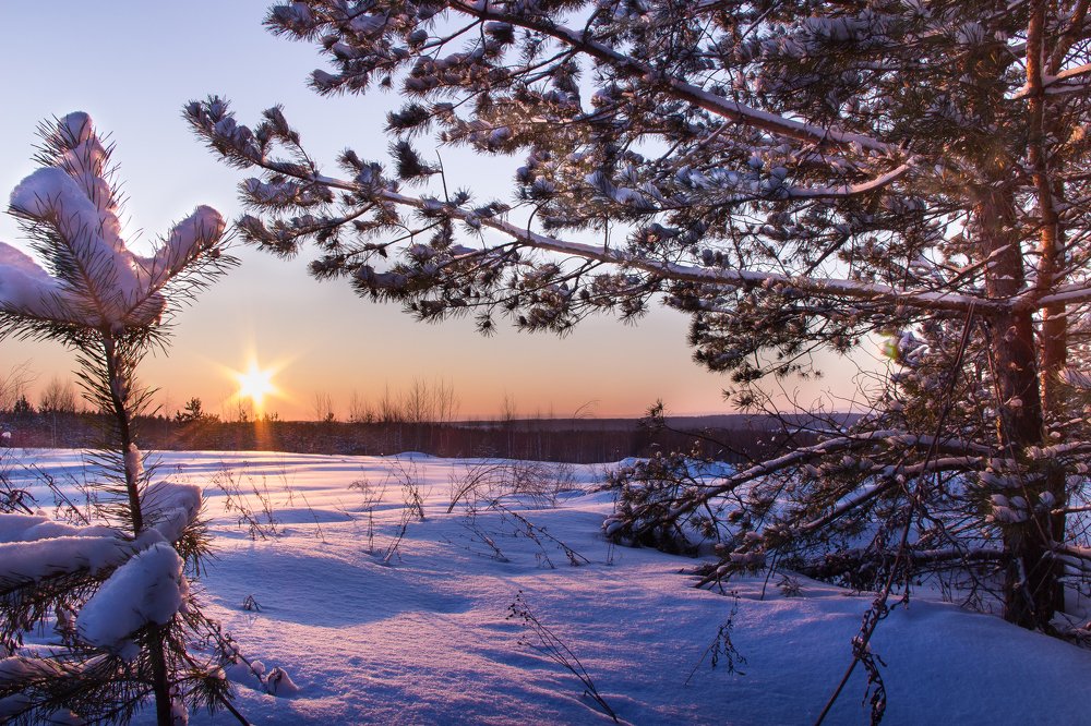 Зимний закат