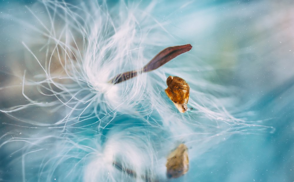 Photograph by Тараненко Анжелика