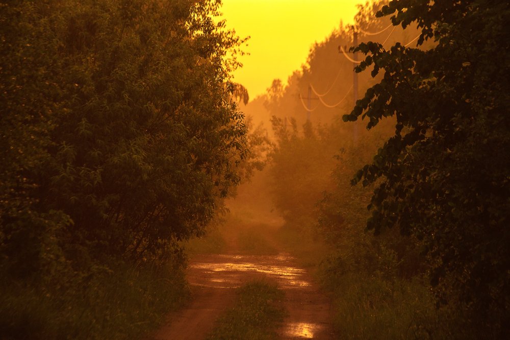 После дождя...