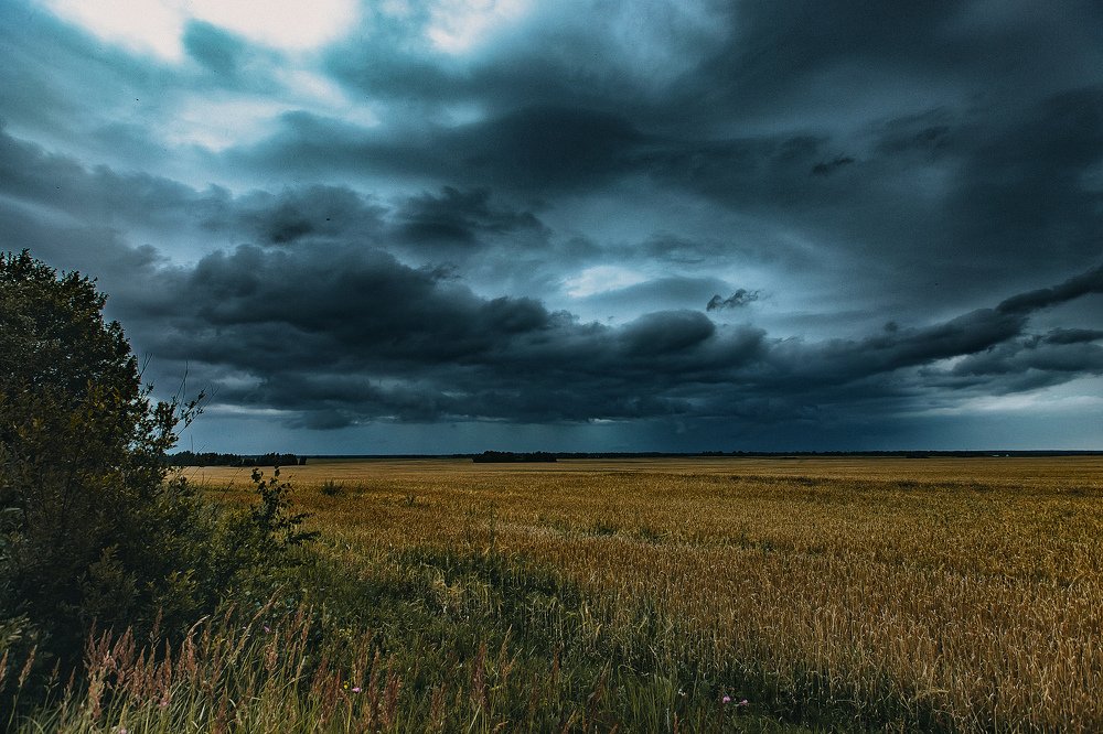 Мощь Перуна