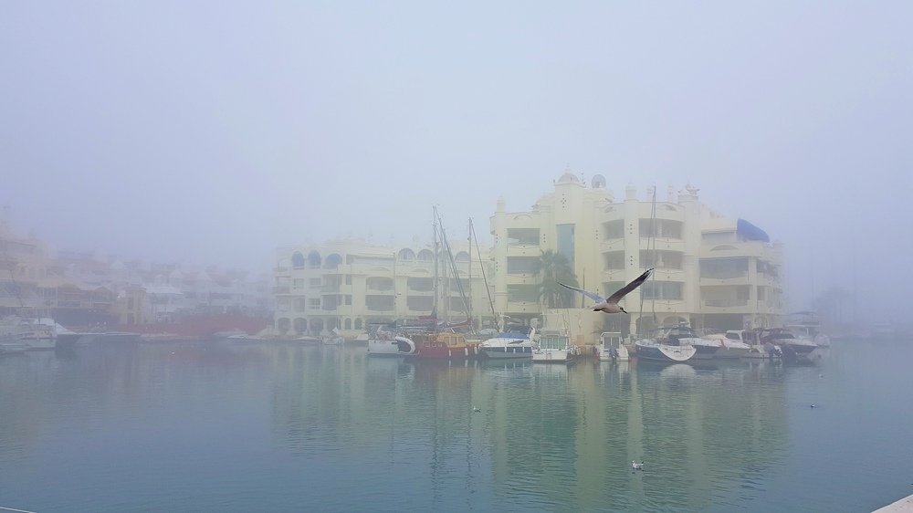 Туман в порту.