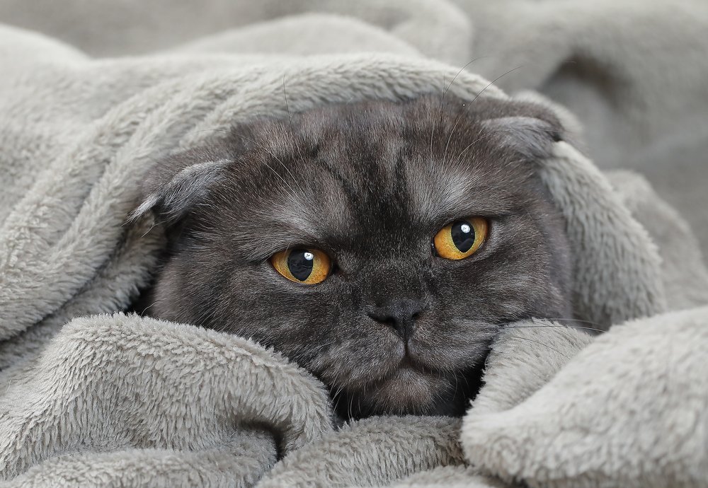 Photograph by Дмитрий Самборский