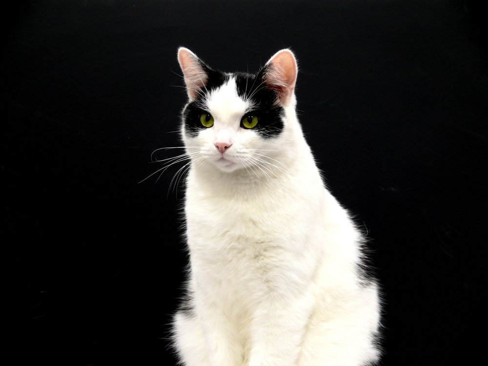 Свет в темноте.