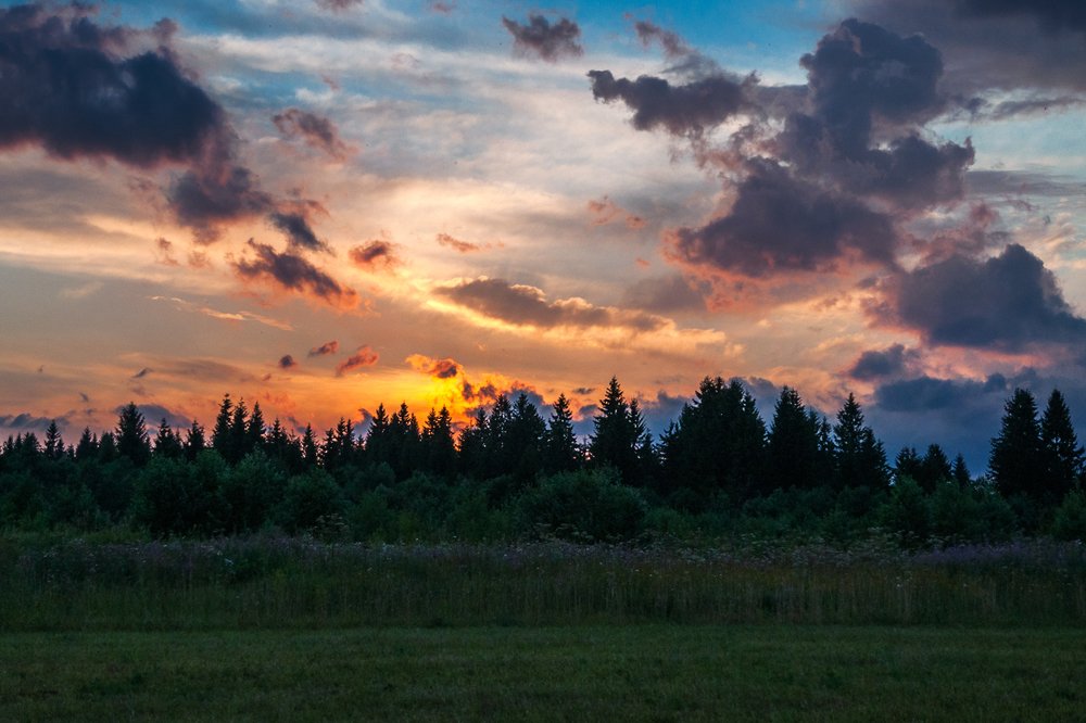Поздней осени закат