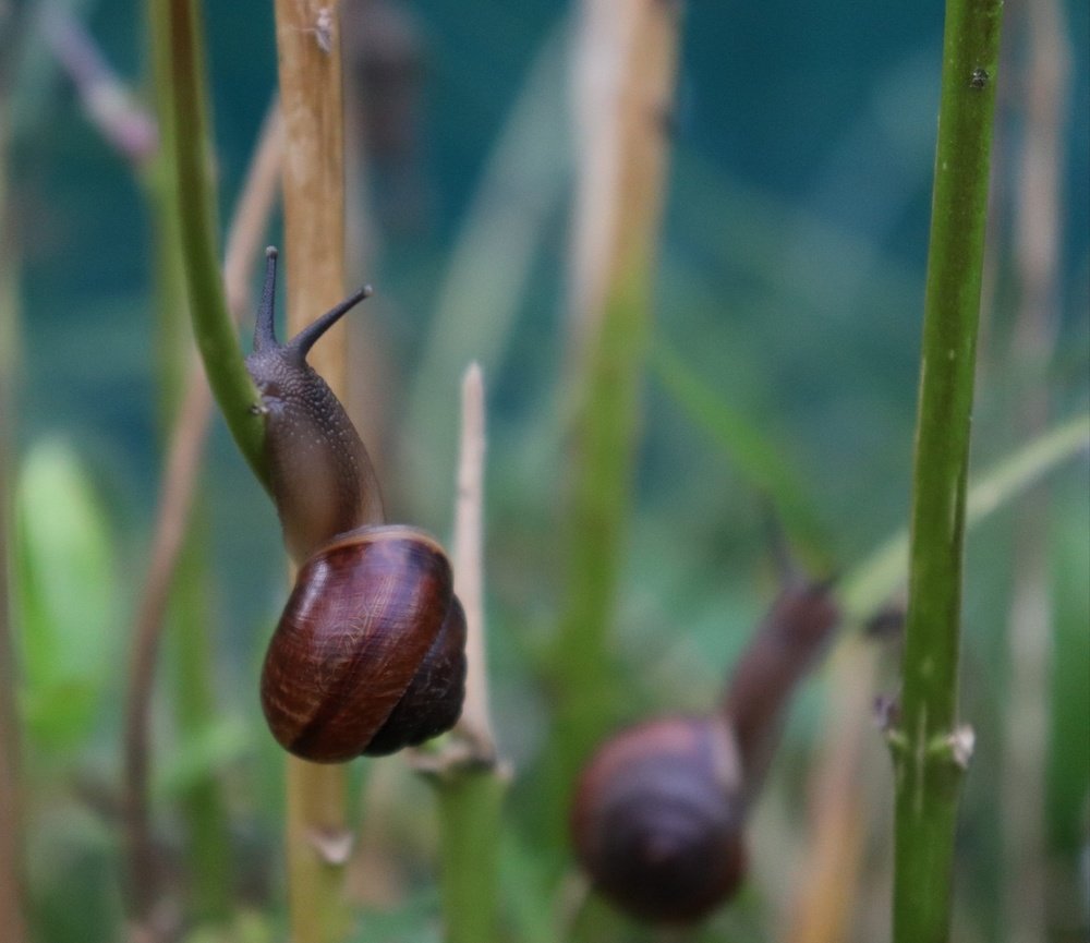 Photograph by Юлия Маевская