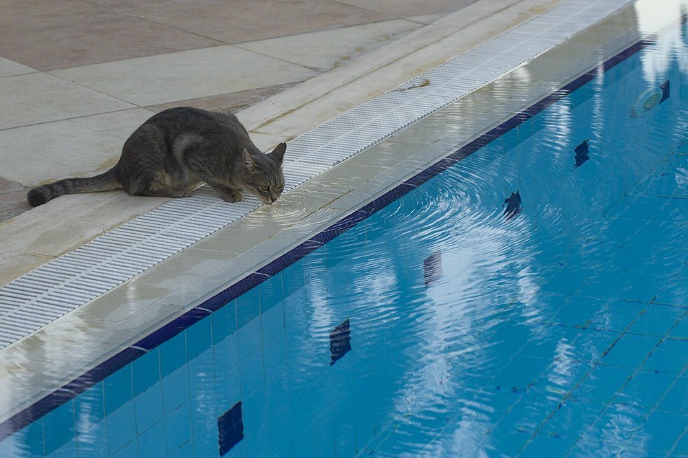 Photograph by Евгений Барзенков