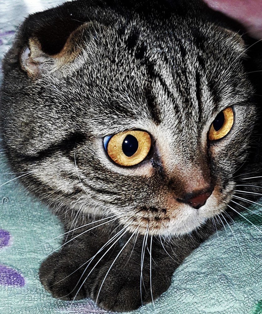 Photograph by Оксана Низевцева