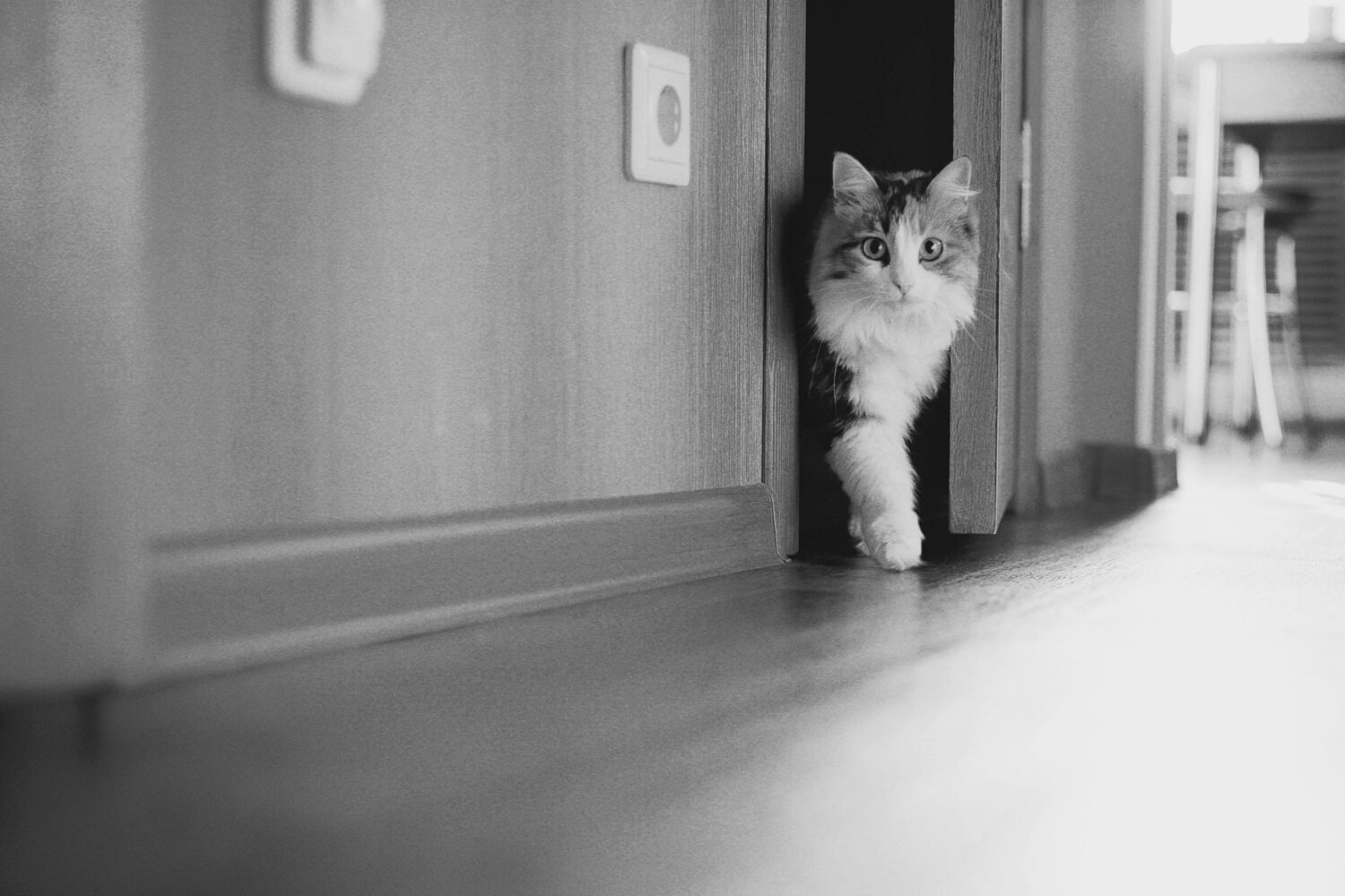 Walking out ...