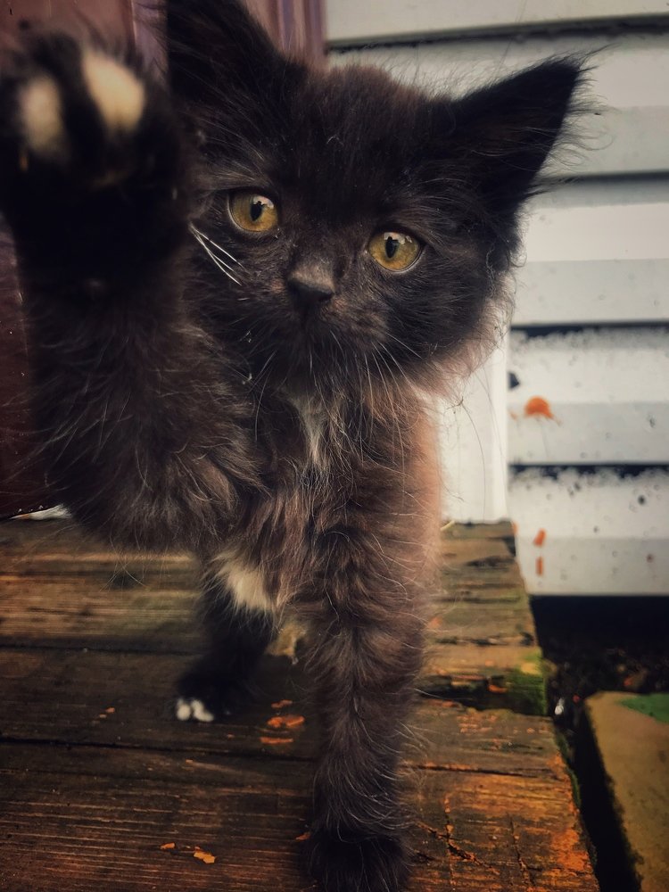 Photograph by Иван Серебряков