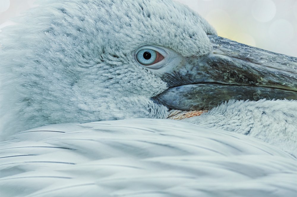 Отдых в голубой лагуне