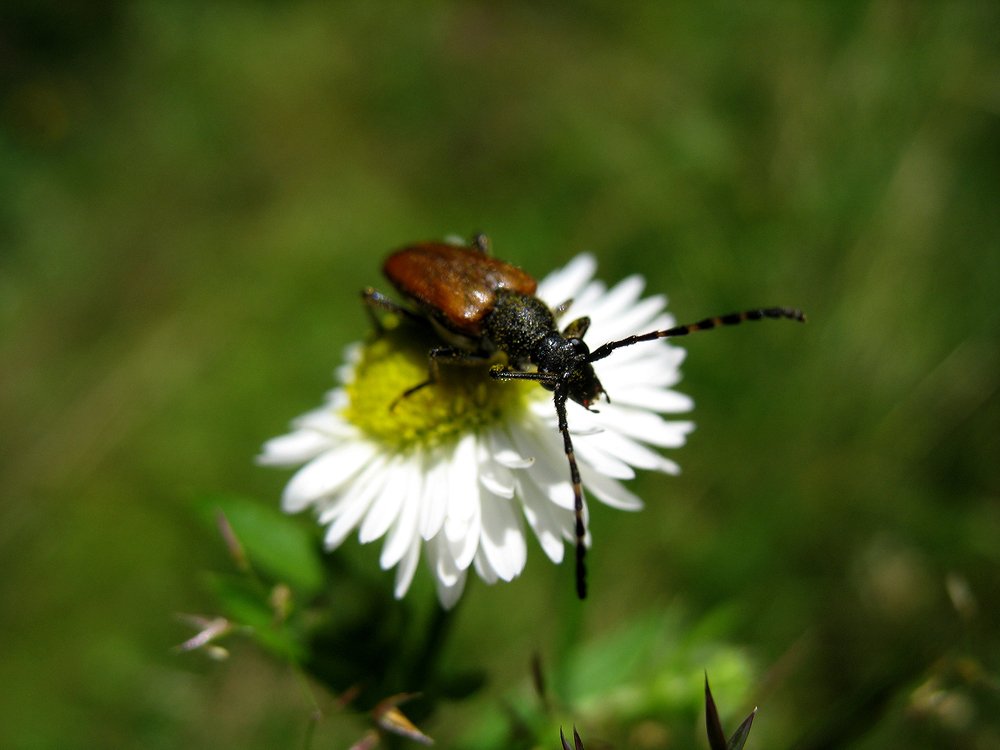 Photograph by Dzianis Mizhui