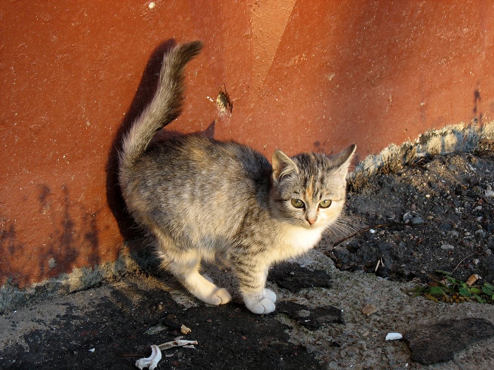 Photograph by Dzianis Mizhui